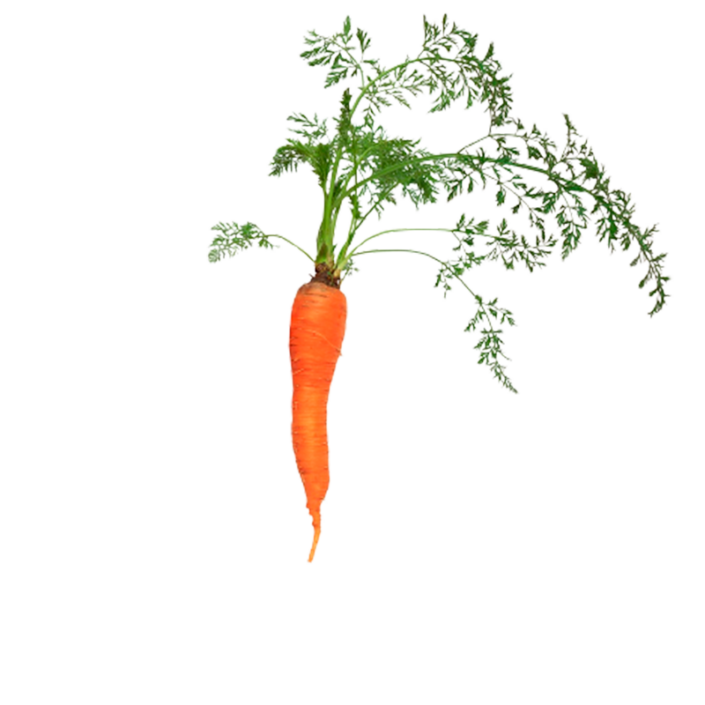 Carrots